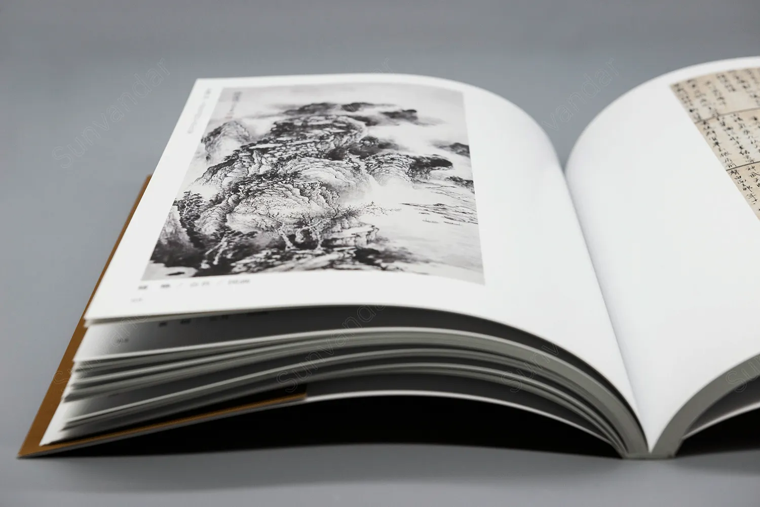 Softbound book
Full color throughout
Matte art paper
Smyth Sewn