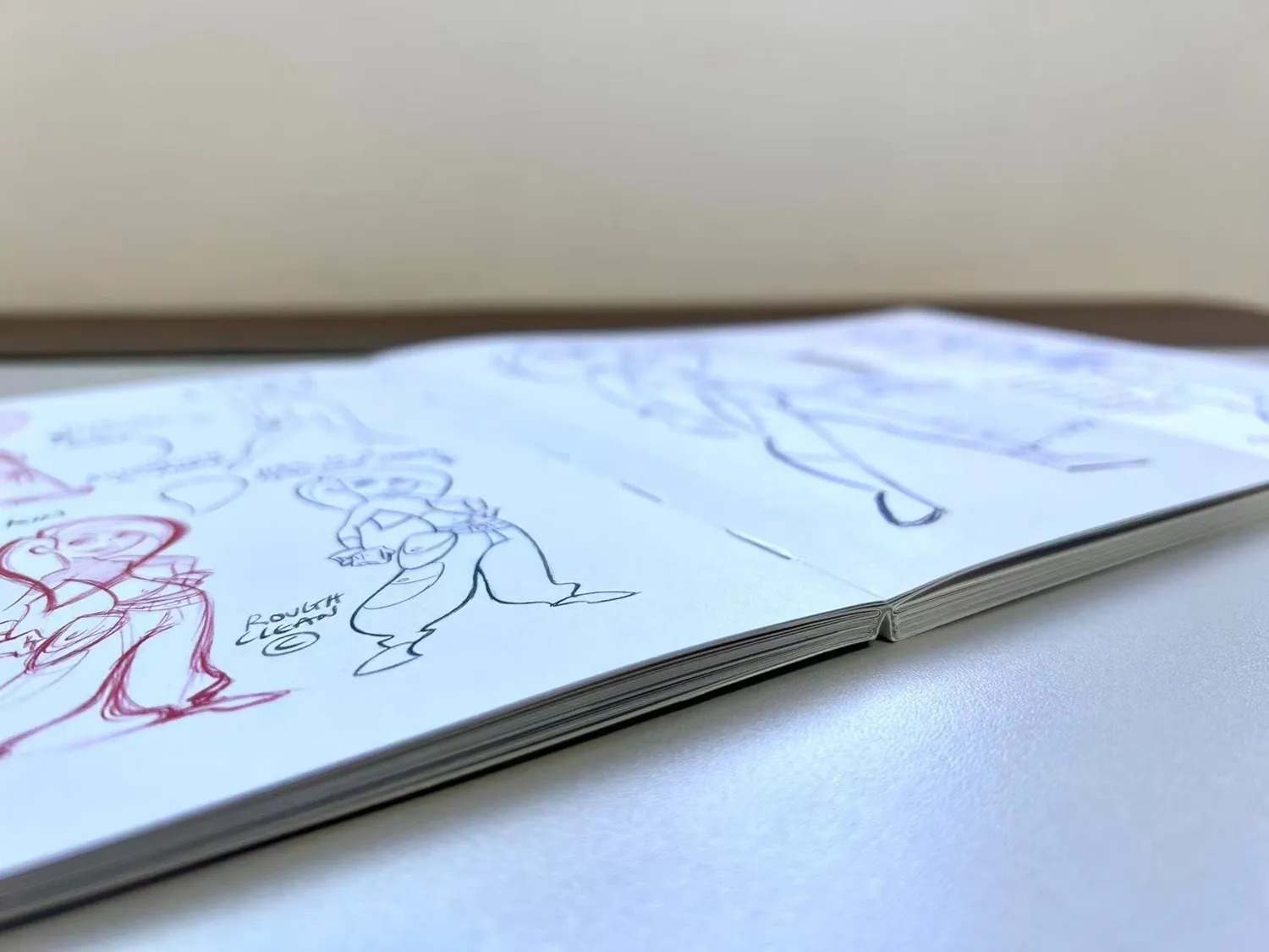 Lay-flat softbound book
Full color throughout
Smyth Sewn
Layflat binding